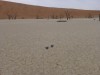 Namibia - Deadvlei.jpeg